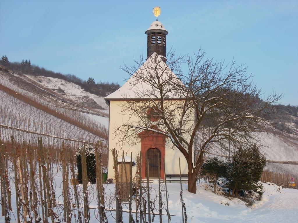 Der Weinladen Apartment Kröv Екстериор снимка