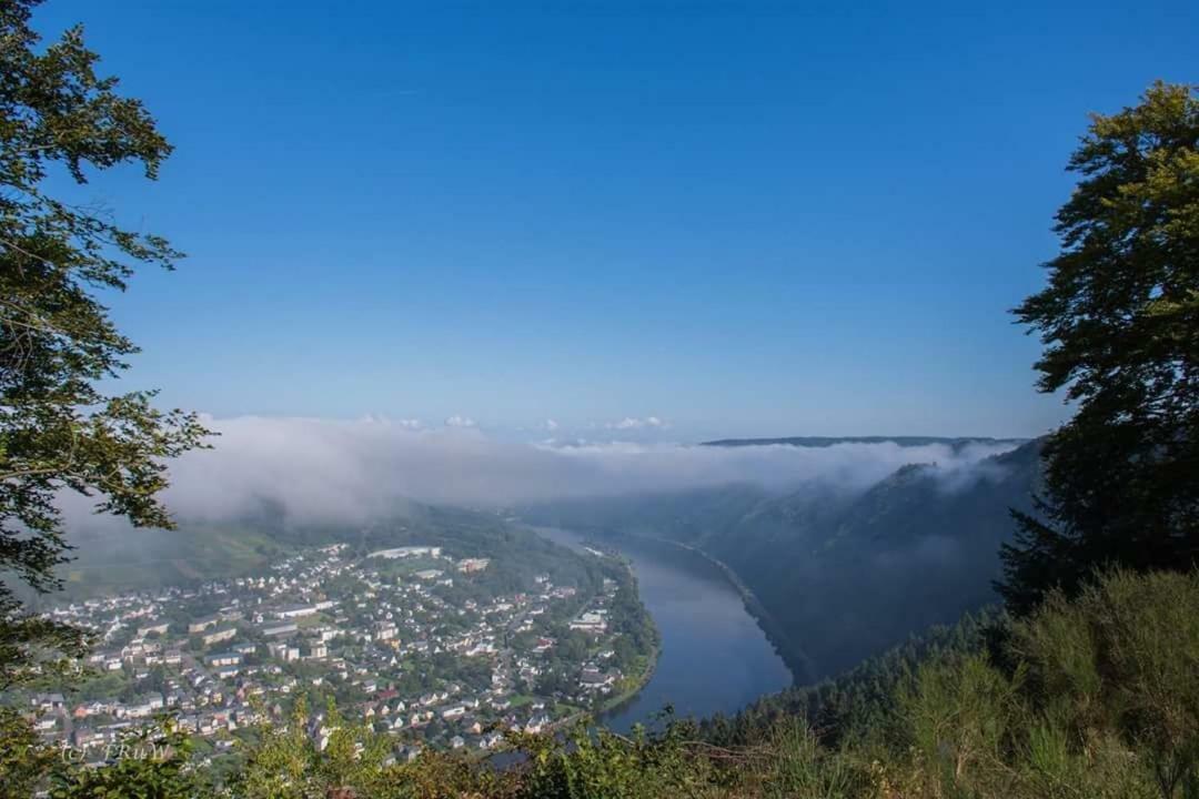 Der Weinladen Apartment Kröv Екстериор снимка