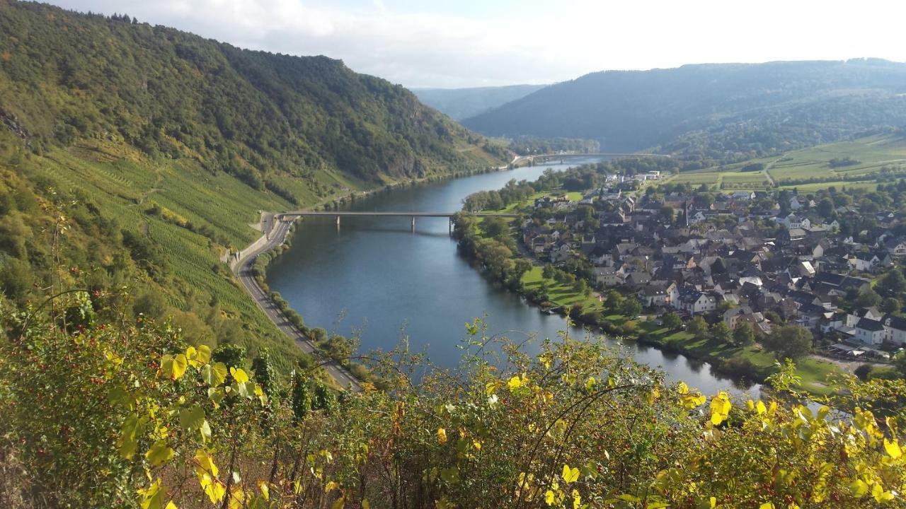 Der Weinladen Apartment Kröv Екстериор снимка